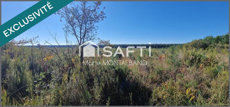 Terrain - 16 696 m²