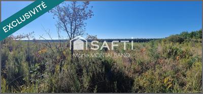 Terrain - 16 696 m²