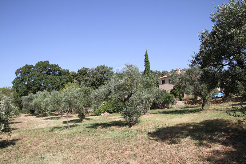 Terrain - 2 038 m²