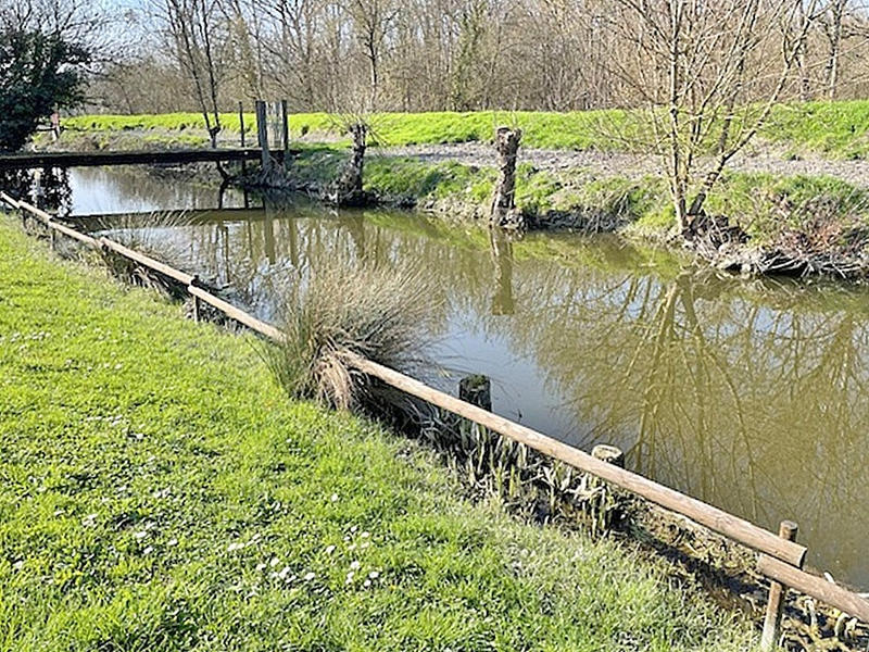 Maison - 205 m² - 6 pièces