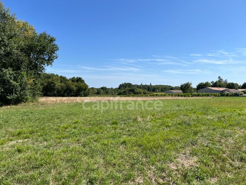 Terrain constructible - 736 m²