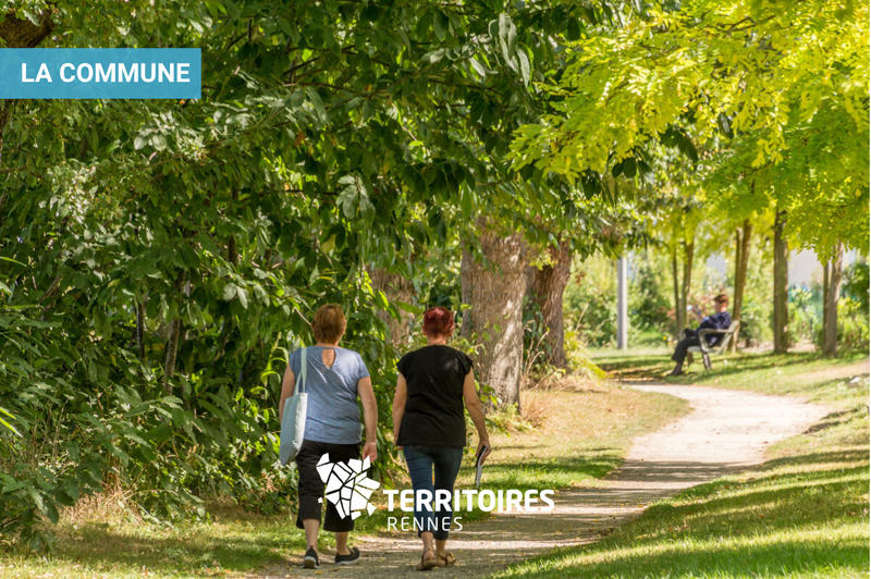 Terrain constructible - 306 m²