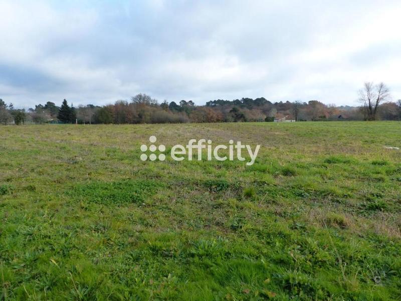 Terrain - 2 542 m²