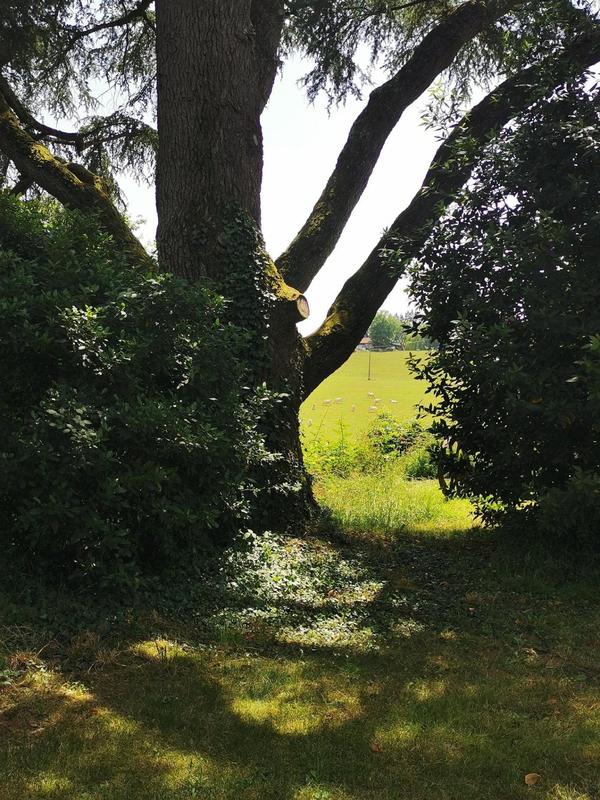 Maison - 536 m² - 15 pièces