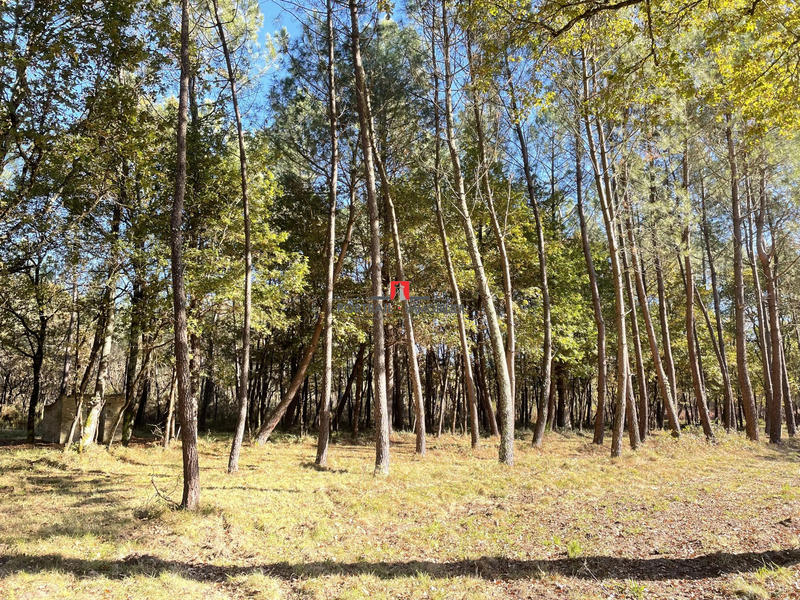 Terrain agricole - 154 100 m²