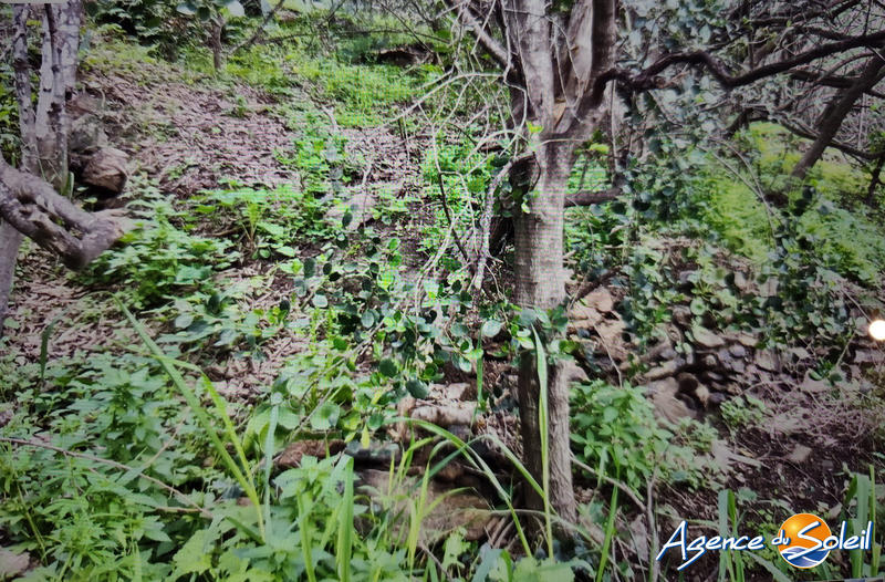 Terrain agricole - 4 000 m²