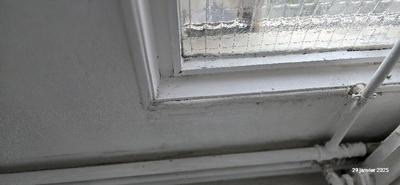 Appartement - 100 m² - 5 pièces