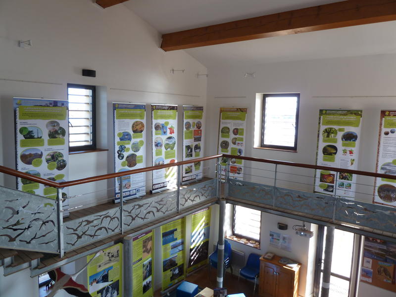 Espace nature des Salins d'Hyères