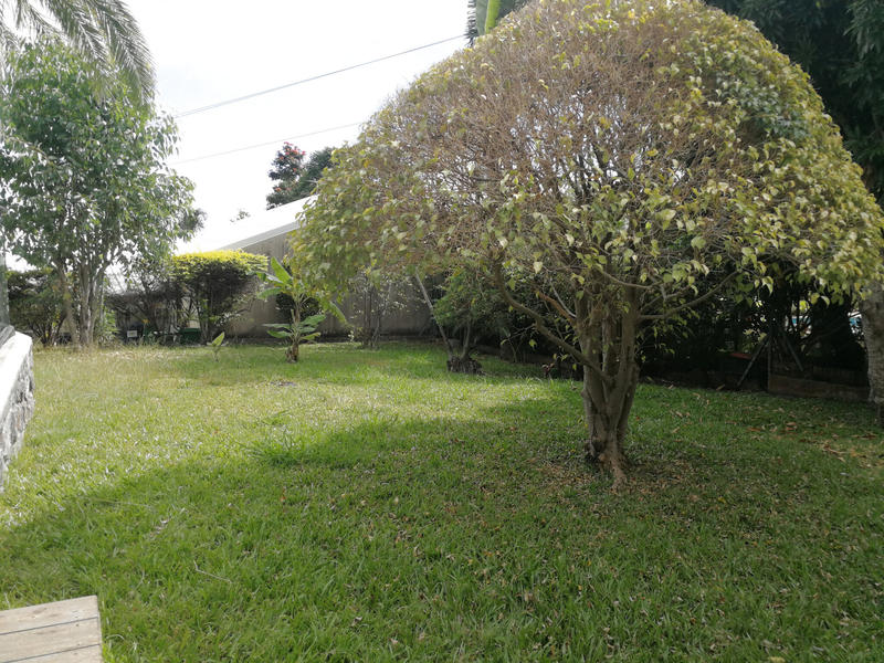 Villa - 100 m² - 4 pièces