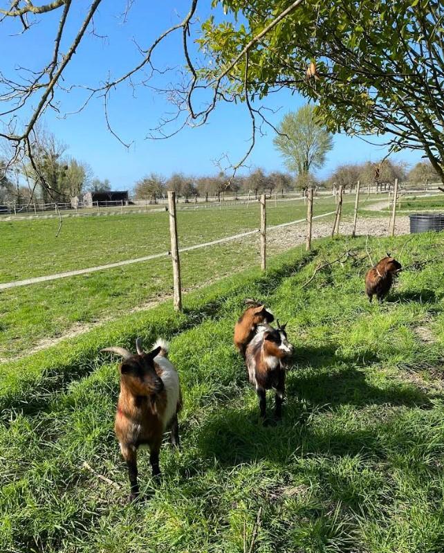 Maison chambre d'hôtes - 328 m²