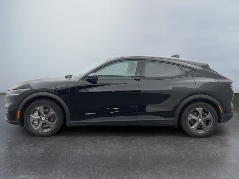 Ford Mustang Mach-E Standard Range 76 kWh 269 ch