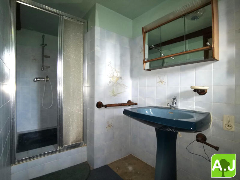 Maison ancienne - 332 m² - 9 pièces