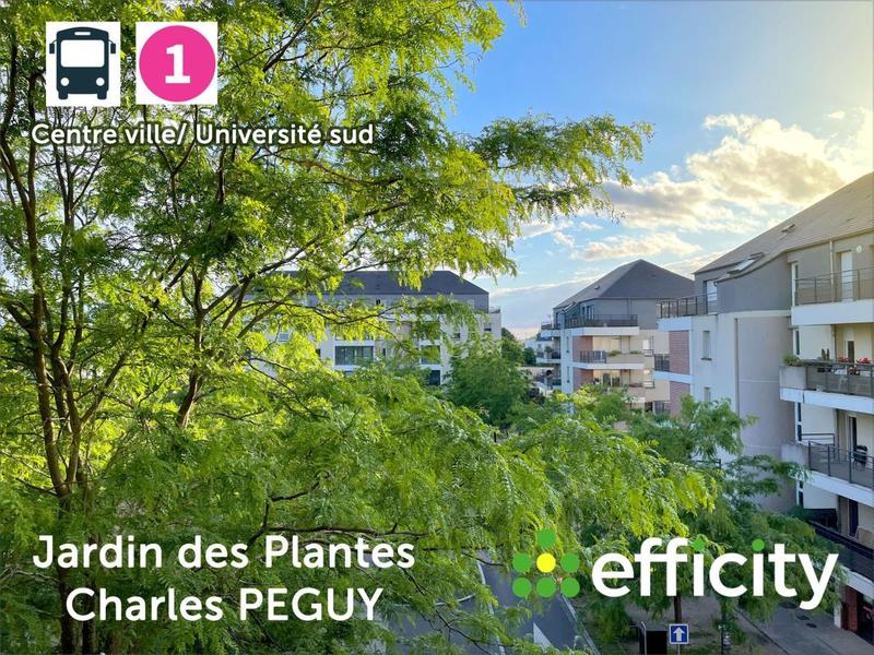 Appartement - 70 m² - 3 pièces