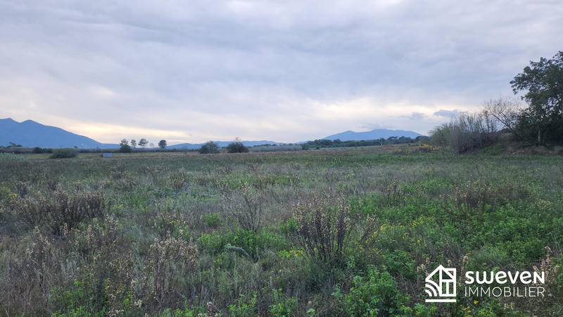 Terrain agricole - 59 990 m²