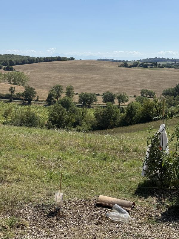 Terrain constructible - 1 300 m²