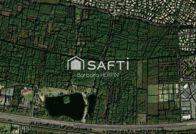 Terrain agricole - 9 693 m²