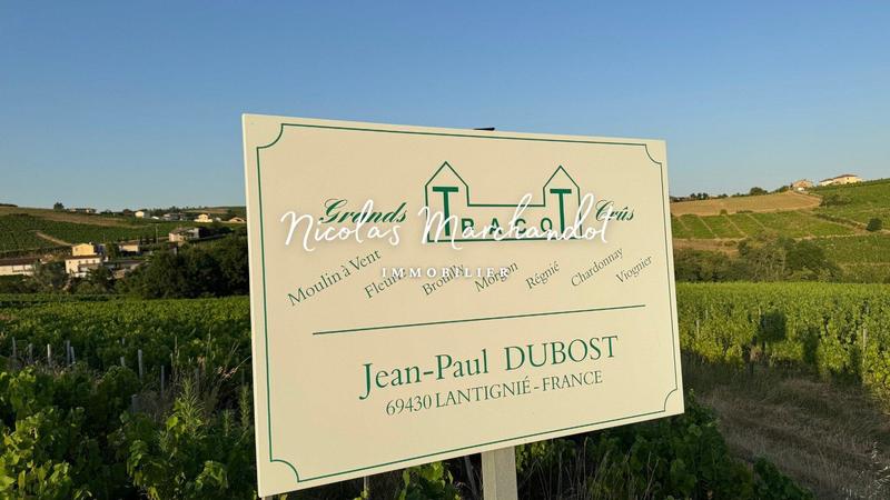 Local commercial - 130 900 m²