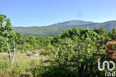 Terrain - 10 944 m²