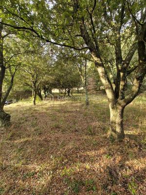 Terrain agricole - 2 380 m²