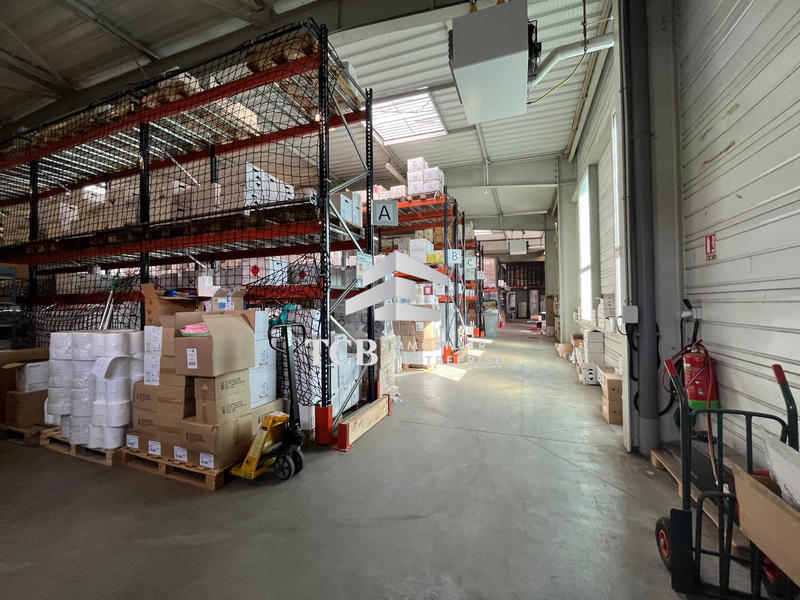 Local d'activités - 1 062 m²