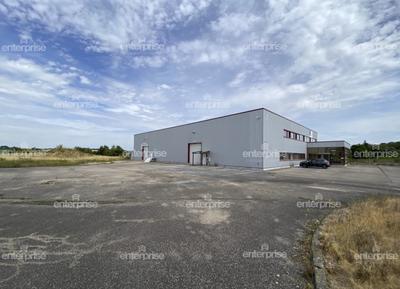 Local d'activité / Entrepôt - 1 500 m²