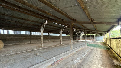 Local d'activité / Entrepôt - 2 070 m²