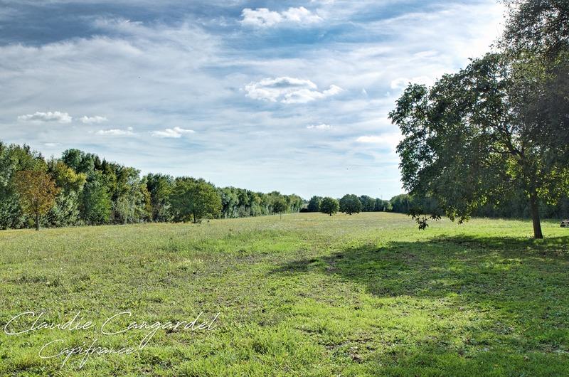 Maison - 257 m² - 8 pièces