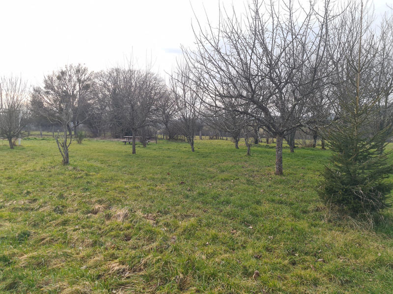 Maison - 270 m² - 1 pièce