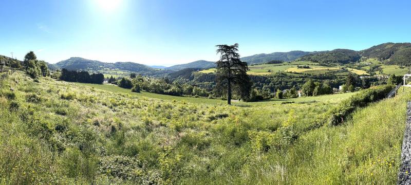 Terrain de lotissements - 972 m²