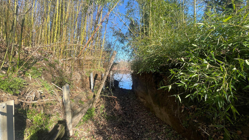 Terrain - 11 581 m²