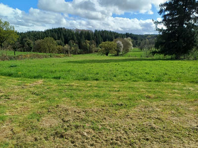 Terrain - 7 657 m²