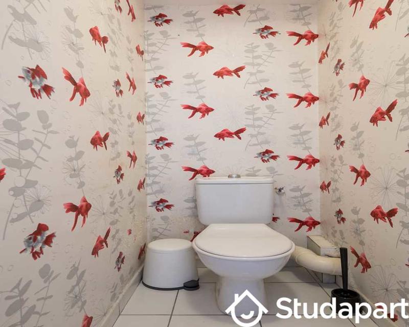 Chambre - 80 m² - 1 pièce