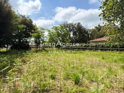 Terrain constructible - 800 m²