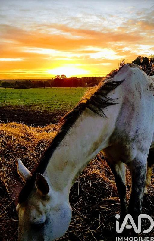 Maison - 370 m² - 14 pièces