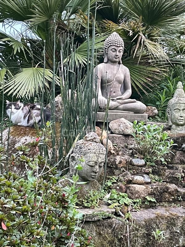 Maison - 178 m² - 7 pièces