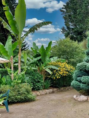 Maison - 148 m² - 8 pièces