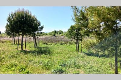 Terrain constructible - 500 m²