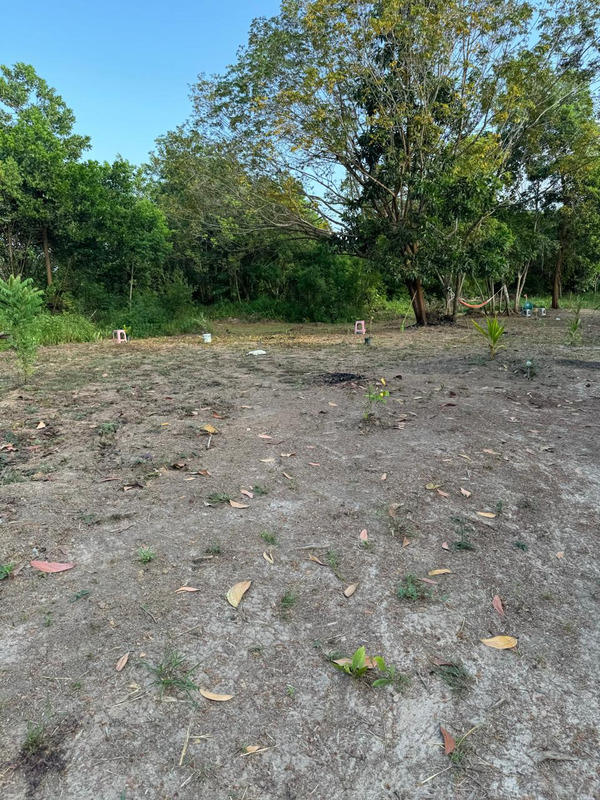 Maison de bois - 79 m² - 3 pièces