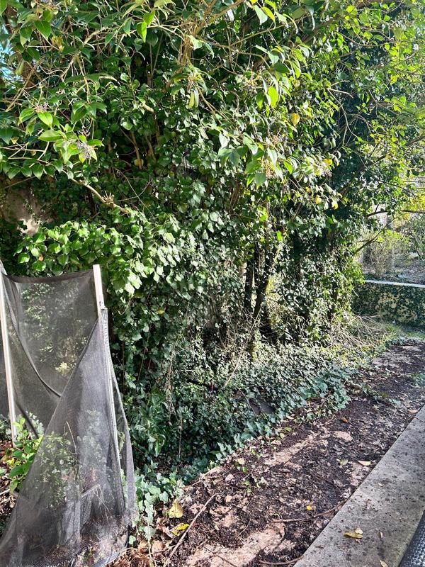 Maison - 61 m² - 3 pièces