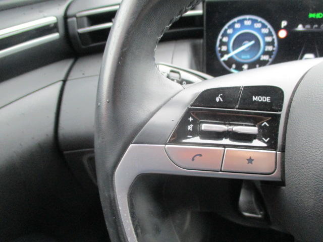 Hyundai Tucson Business Mild-Hybrid 2wd 1.6 Crdi 135 cv Bva7