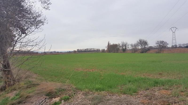 Terrain agricole - 19 460 m²