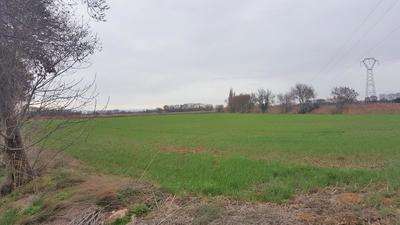 Terrain agricole - 19 460 m²