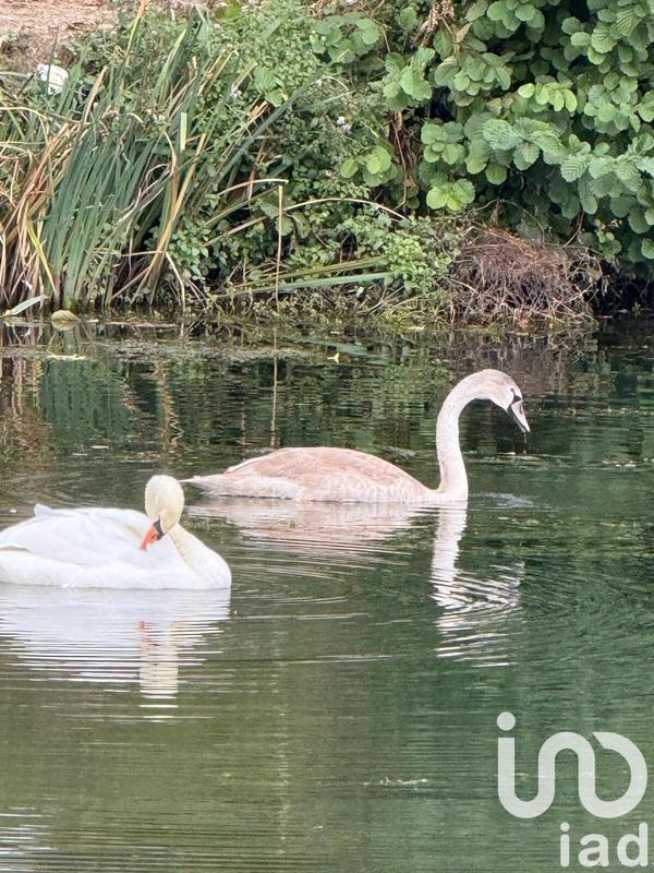 Appartement - 80 m² - 5 pièces