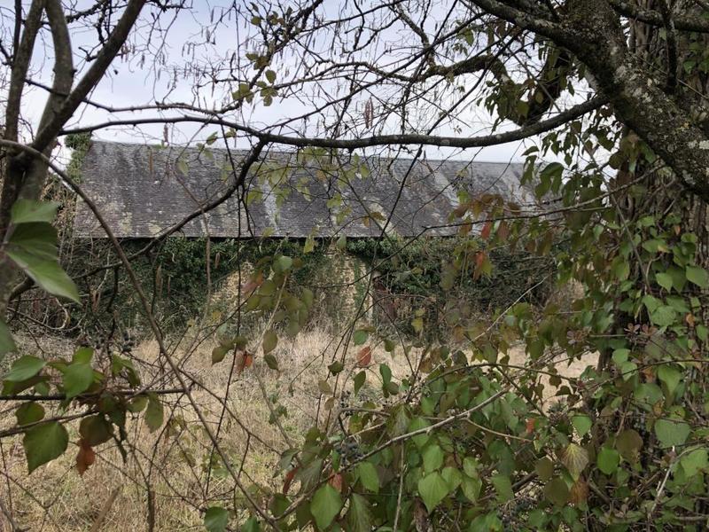 Maison ancienne - 300 m² - 2 pièces