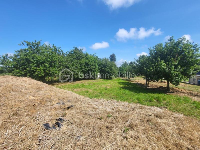 Maison - 188 m² - 5 pièces