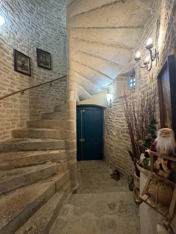 Maison de ville - 543 m² - 12 pièces