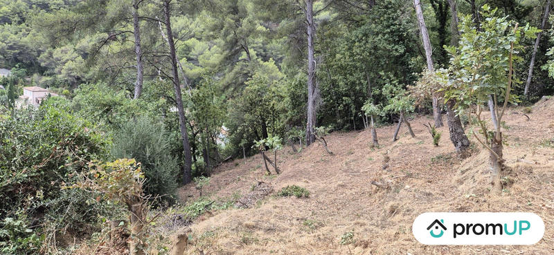 Terrain de loisirs - 2 048 m²