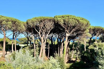 Appartement - 88 m² - 4 pièces