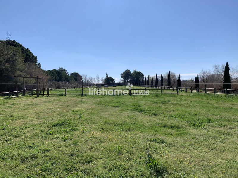 Mas - 238 m² - 7 pièces