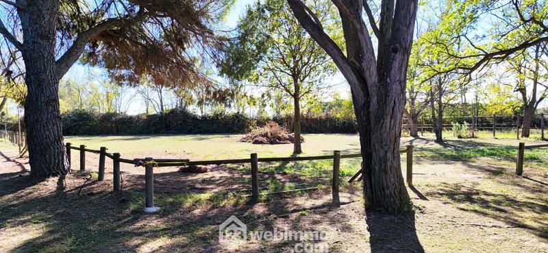 Maison - 240 m² - 7 pièces